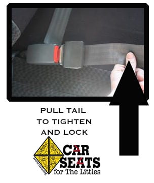 Transitioning to a seat belt :  – Securing North Carolina for  Life