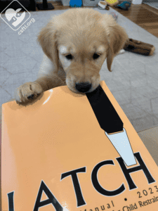 The LATCH manual is actually not for puppies!