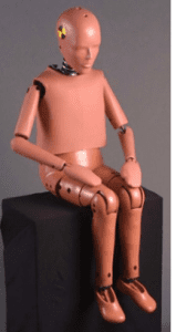 NHTSA's 10 year old crash test dummy weighs 76 pounds and is 4’6" tall