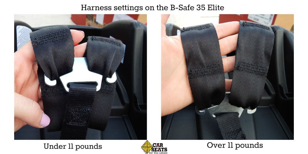 Required harness adjustments for 11lb+ 