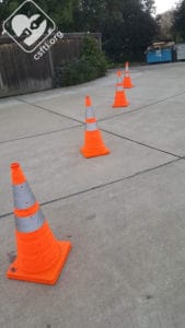 Follow the cones to safety!