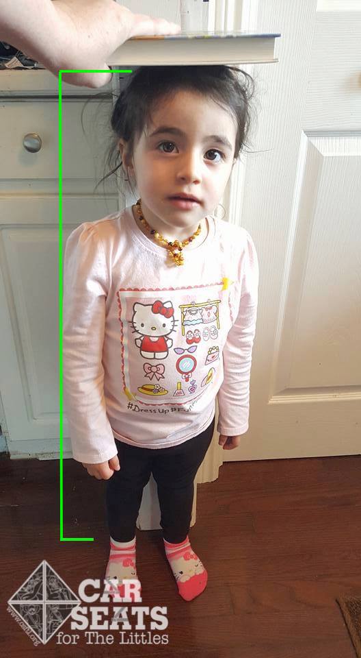 Car Seat Basics How to Measure your Child Car Seats For The Littles