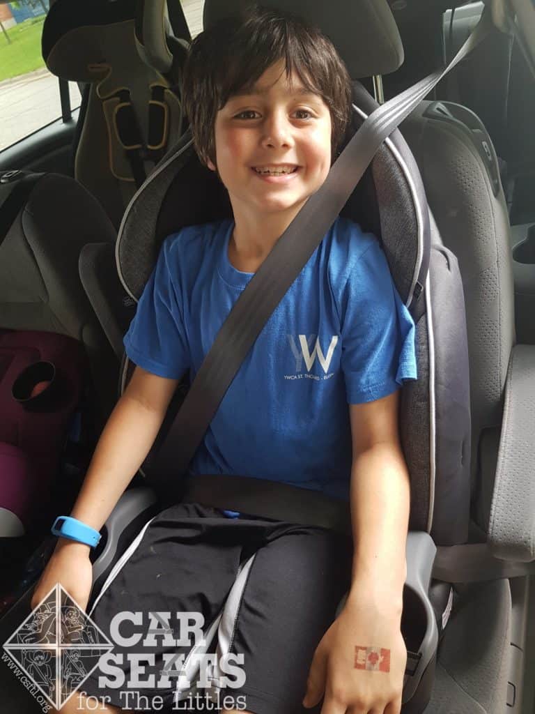 Evenflo Maestro Combination Car Seat Review Car Seats For The Littles